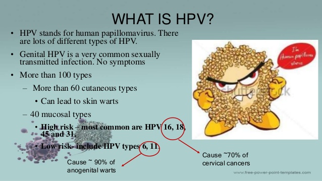 What is hpv?